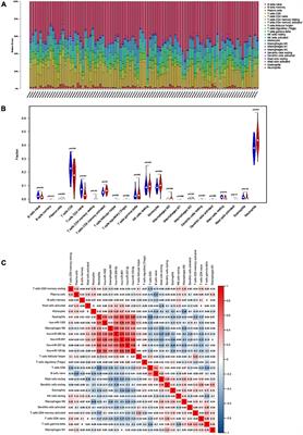 The Construction and Analysis of Immune Infiltration and Competing Endogenous RNA Network in Acute Ischemic Stroke